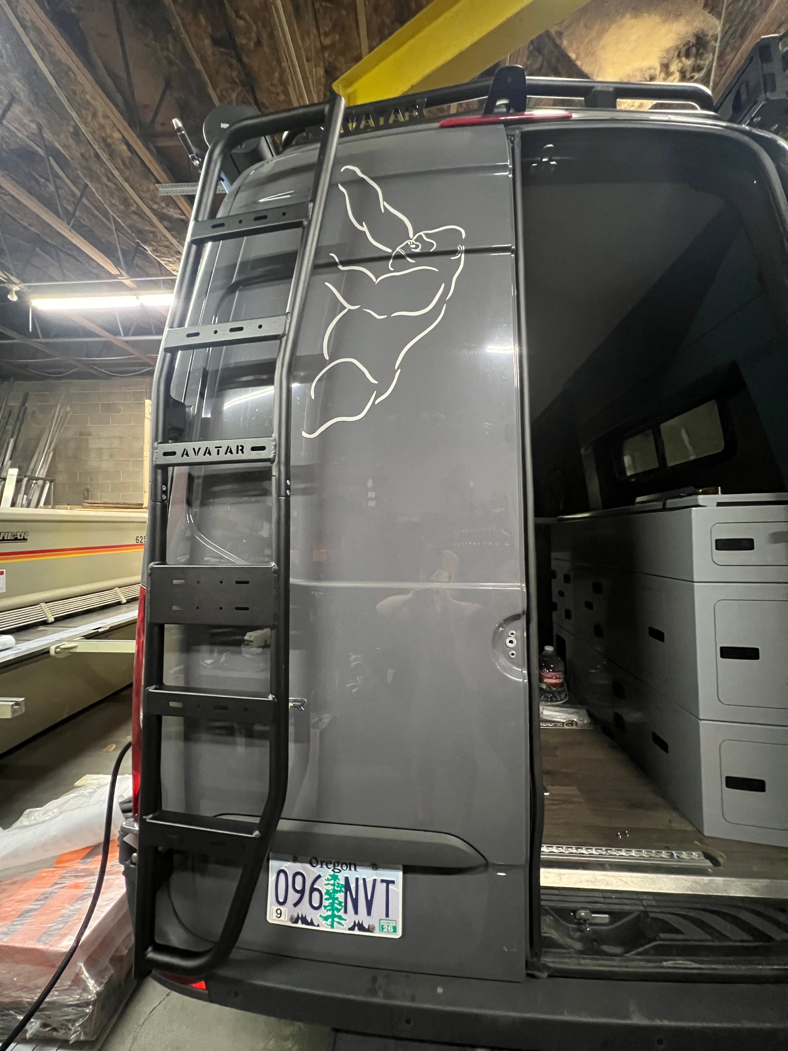 Sprinter Van Rear Ladder