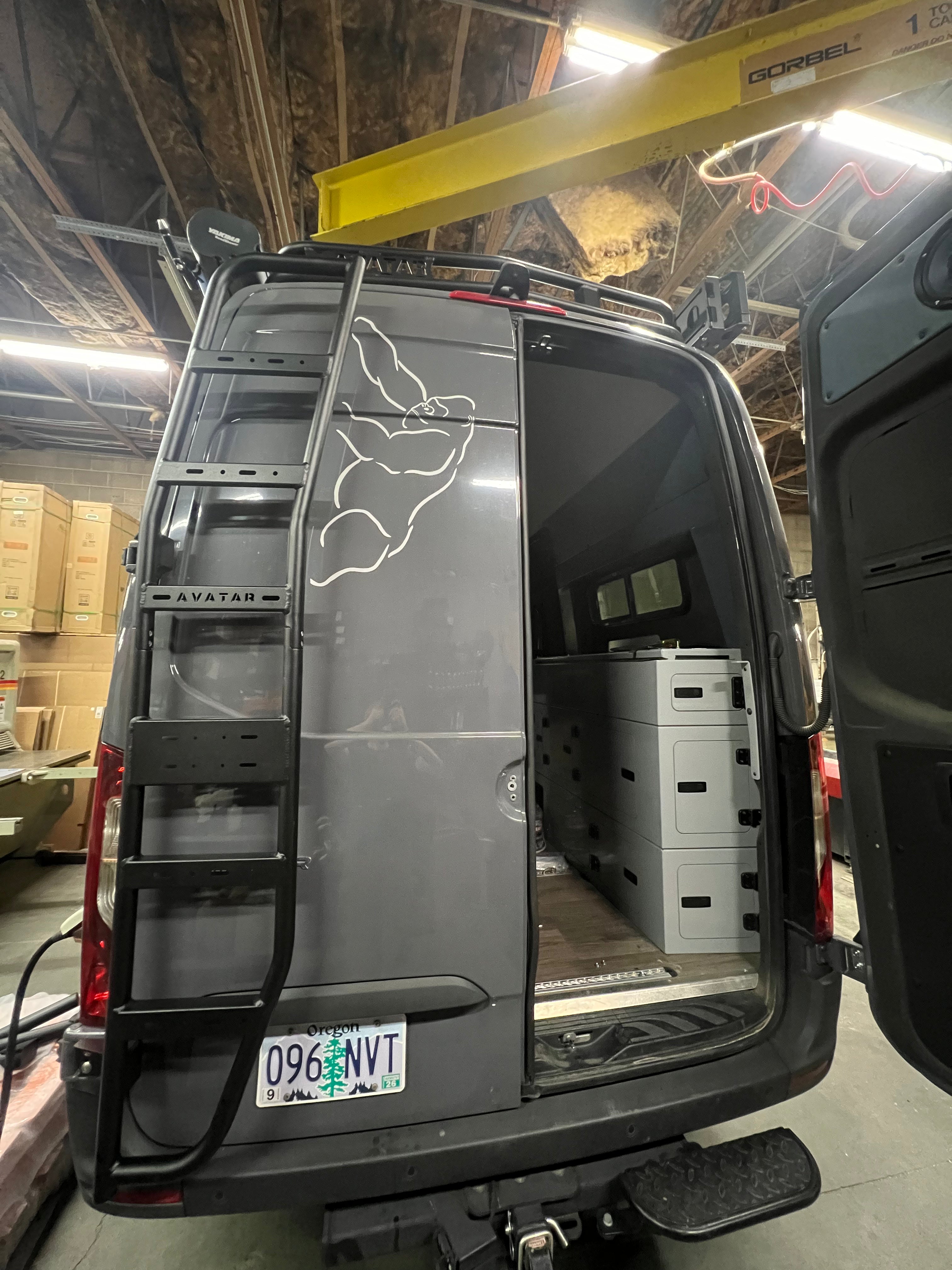 Sprinter Van Rear Ladder