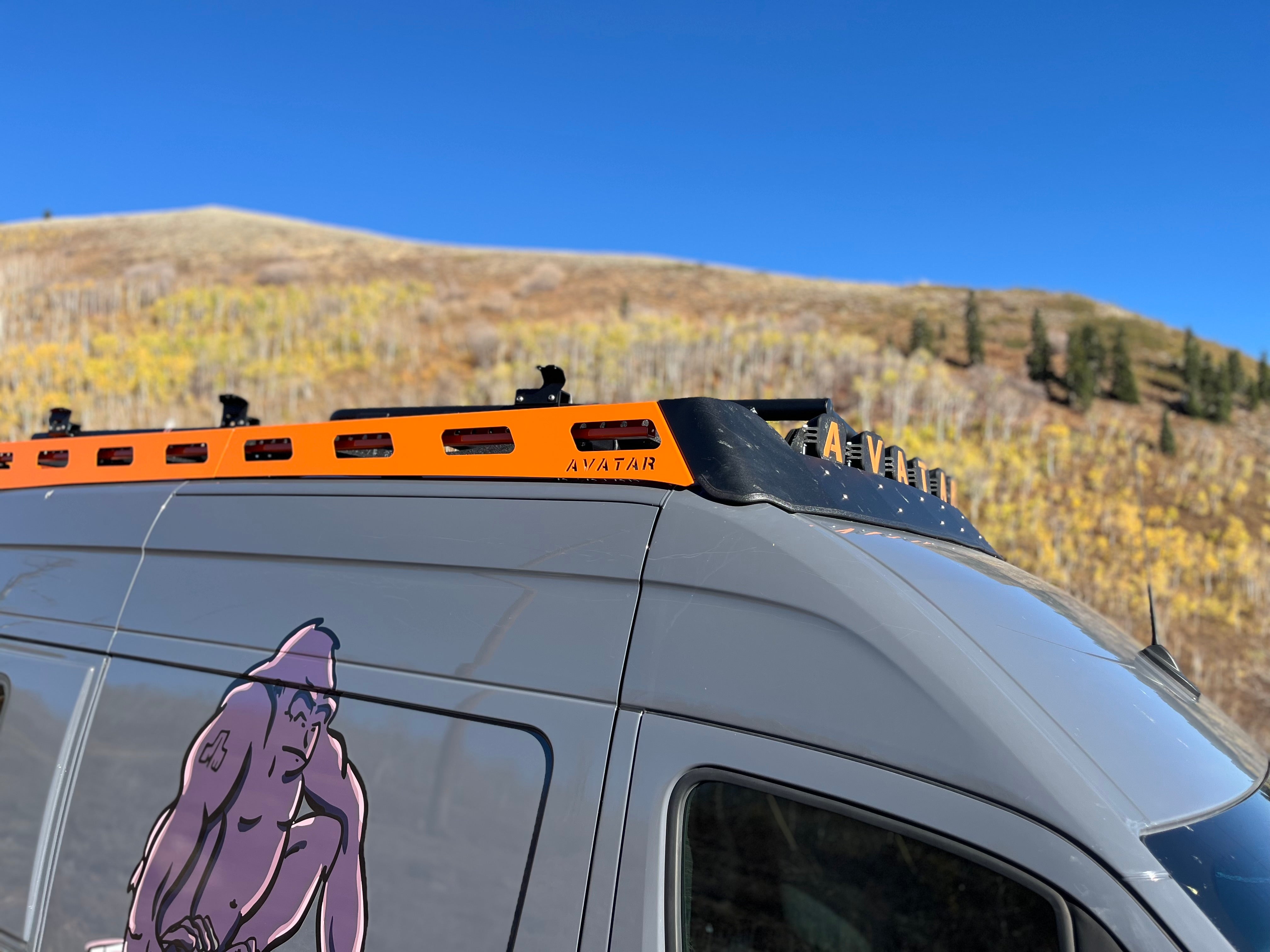 Pioneer Sprinter Roof Rack