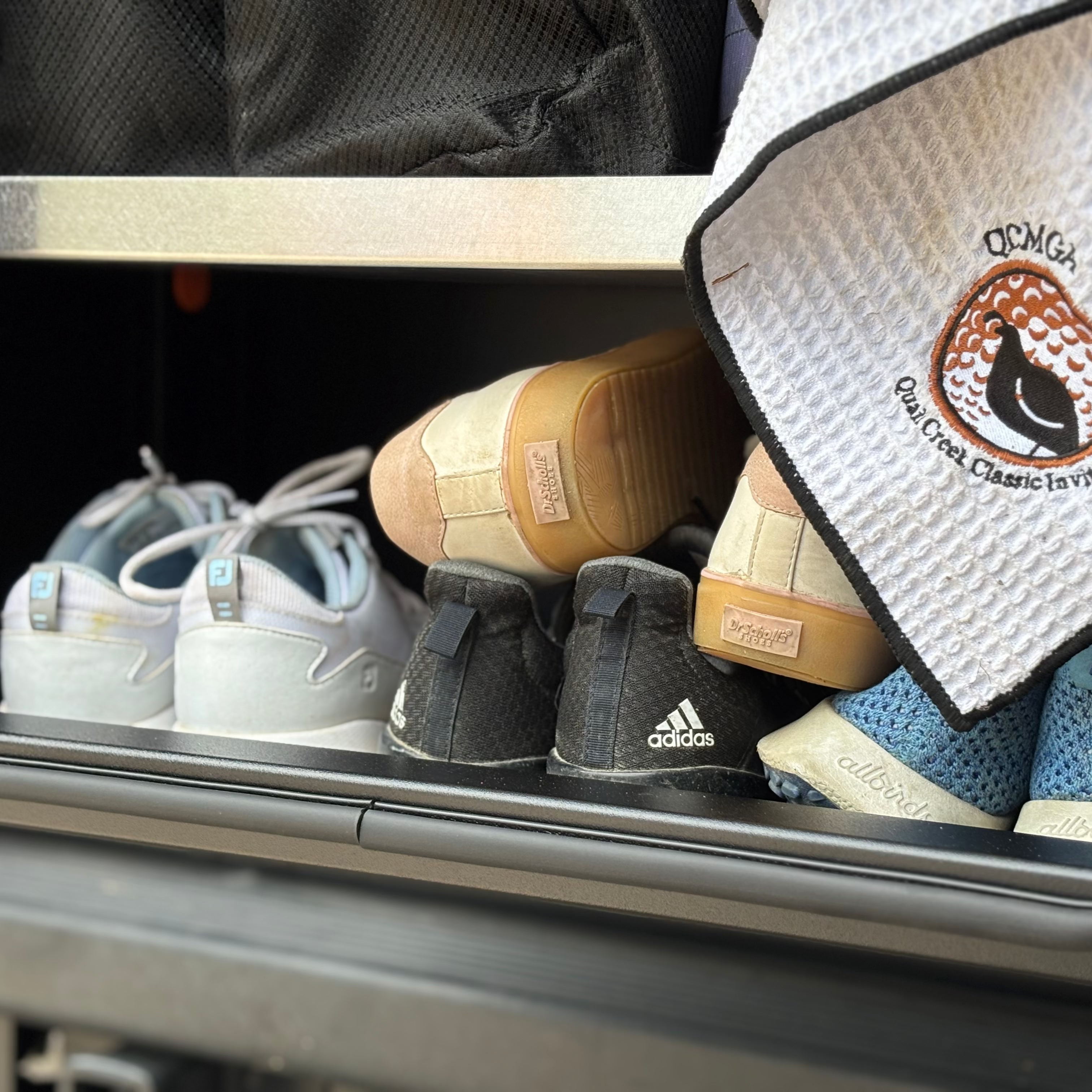 Best Golf Storage for vans